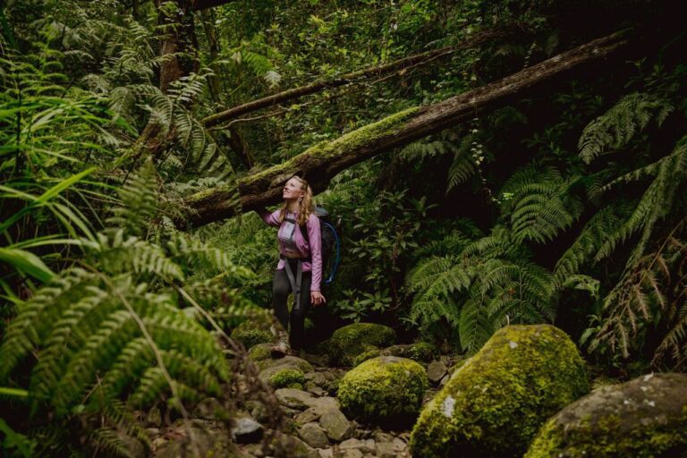 Madeira Trail